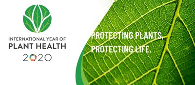 2020 - Any internacional de la Sanitat Vegetal.  Protegir les plantes, protegir la vida