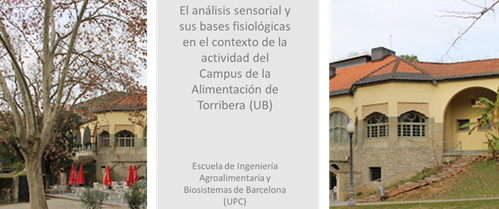 27 de maig de 2022 - Seminari: El análisis sensorial y sus bases fisiológicas en el contexto de la actividad del Campus de la Alimentación de Torribera (UB)