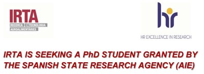 PhD STUDENT GRANTED BY THE SPANISH STATE RESEARCH AGENCY
